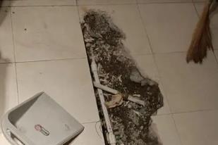 德州市卫生间漏水检测电话